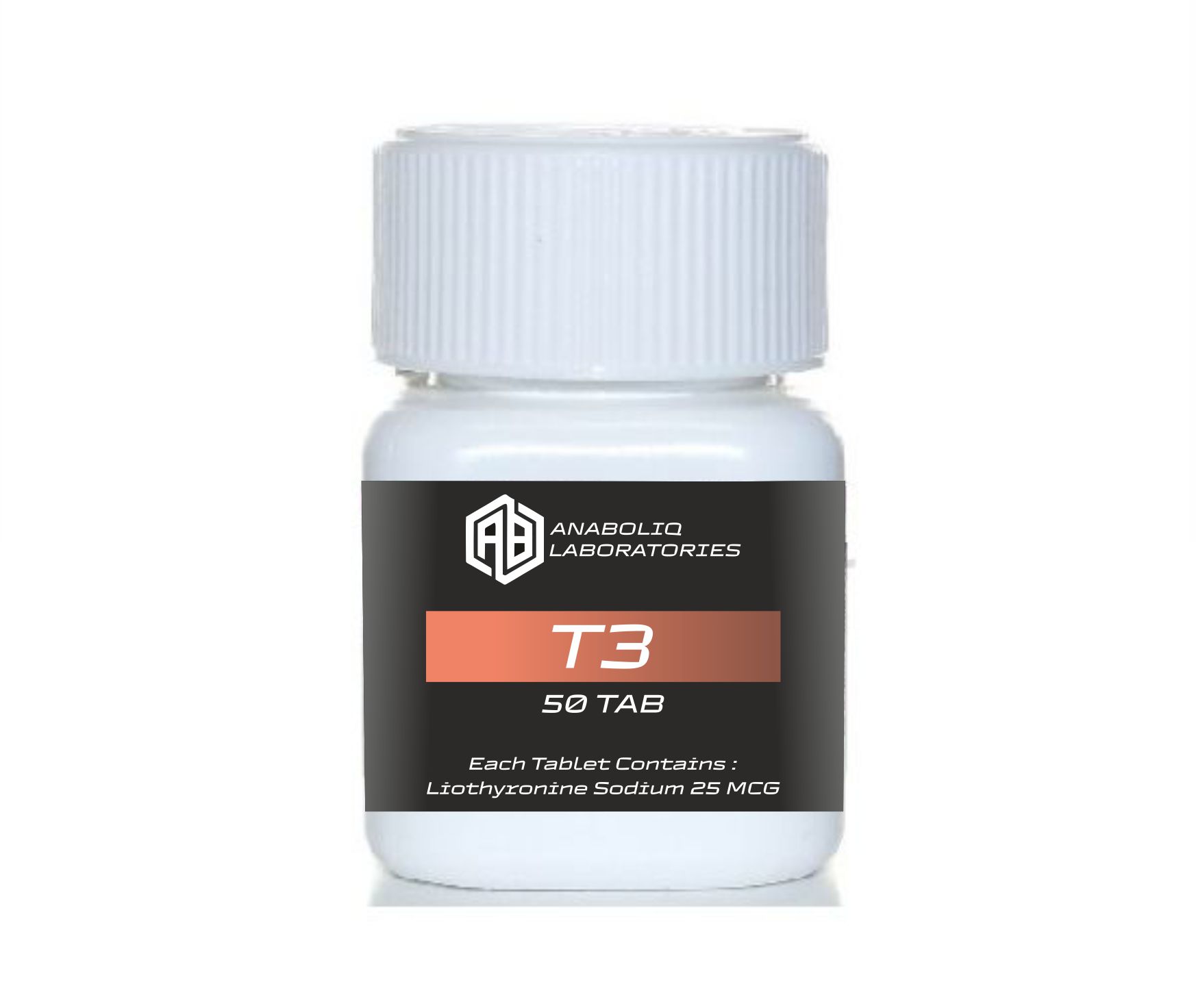 T3